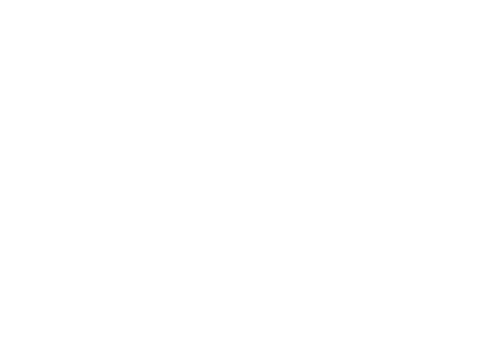 Logo viaromana